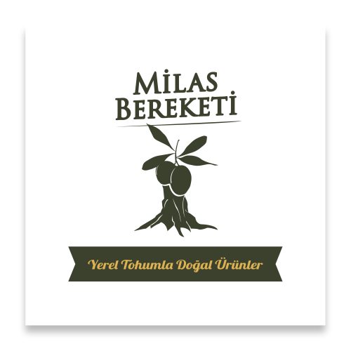 logo 5