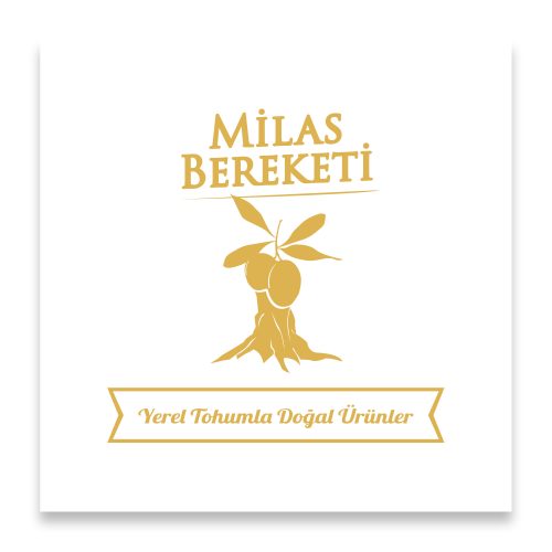 logo 6