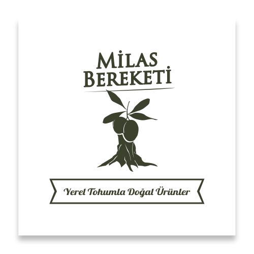 logo 7